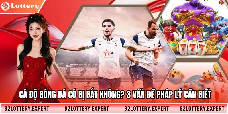 Cá Độ Bóng Đá Có Bị Bắt Không? 3 Vấn Đề Pháp Lý Cần Biết